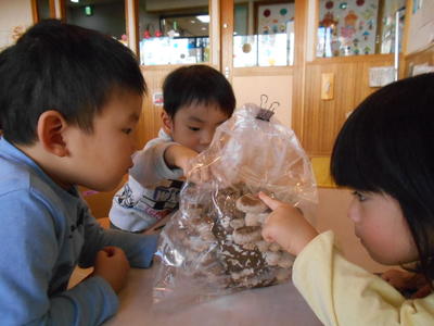 DSCN6989.JPG