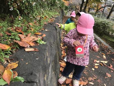 1歳児散歩　ソラスト神楽坂①2019　002