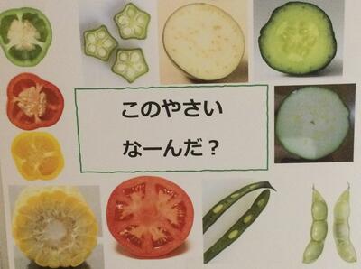 2023 6.21ソラスト高津保育園夏野菜に触れる⑲.JPG