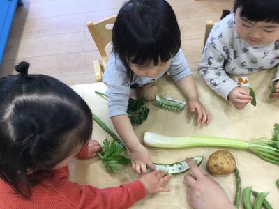 2024 4 10ソラスト高津保育園 春野菜に触れる⑧.JPG