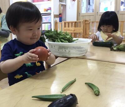 2024 6 19ソラスト高津保育園　夏野菜に触れる⑥.JPG