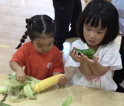 2024 6 19ソラスト高津保育園　夏野菜に触れる⑩.JPG