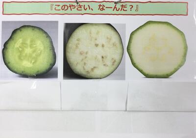 2024 6 19ソラスト高津保育園　夏野菜に触れる⑪.JPG