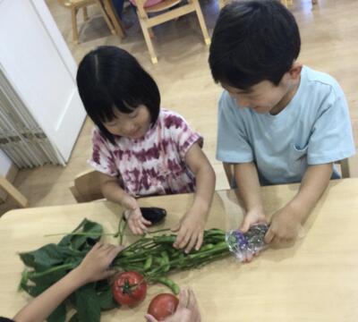 2024 6 19ソラスト高津保育園　夏野菜に触れる⑱.JPG