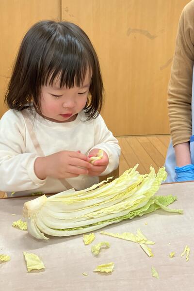 中村橋保育園'25年2月　ひかり組冬野菜(11)7.jpg