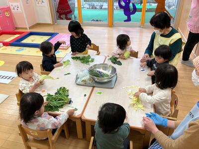 中村橋保育園'25年2月　ひかり組冬野菜(7).jpg