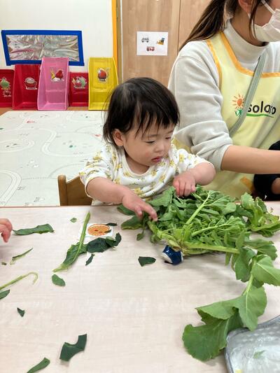 中村橋保育園'25年2月　ひかり組冬野菜(8).jpg