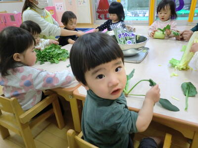 中村橋保育園'25年2月　ひかり組冬野菜(9).jpg