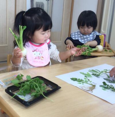 2025.1.7ソラスト高津保育園　七草に触れる②.JPG