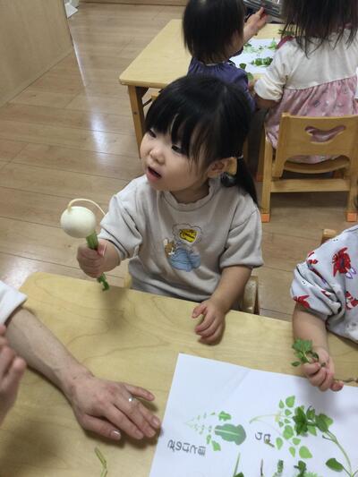 2025.1.7ソラスト高津保育園　七草に触れる④.JPG