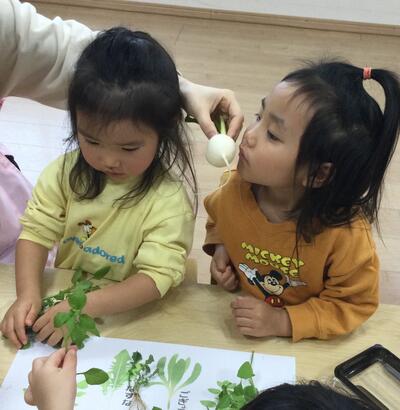 2025.1.7ソラスト高津保育園　七草に触れる⑧.JPG