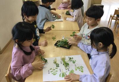 2025.1.7ソラスト高津保育園　七草に触れる⑨.JPG