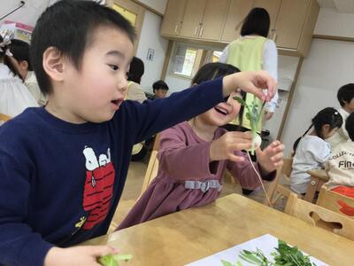 2025.1.7ソラスト高津保育園　七草に触れる⑪.JPG