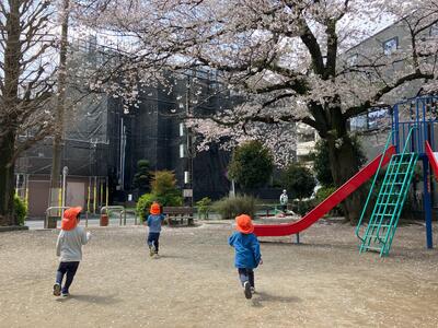 中村橋保育園'25年4月こだま　新年度スタート (9).jpg