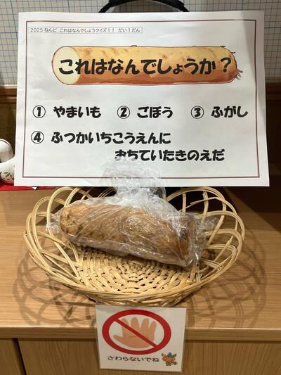 2025_これはなんでしょう①（おおいまち）1.jpg