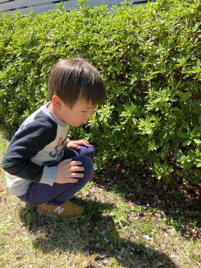 ふなぼり７６