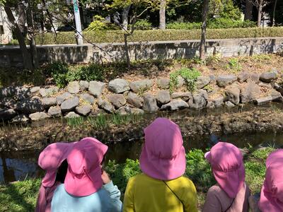 ふなぼり５