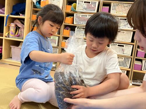 25.4ひまわり (3).jpg