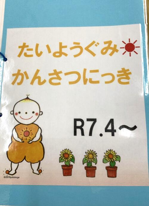 25.4ひまわり (4).jpg