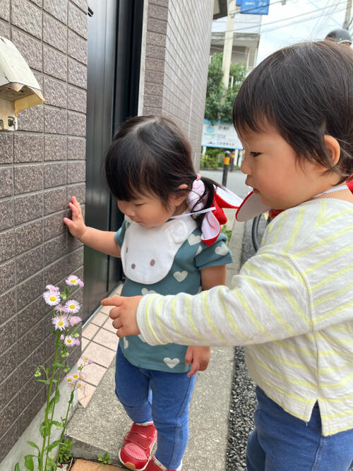 25.4めばえ様子 (3).jpg