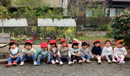 25.4めばえ様子 (4).jpg