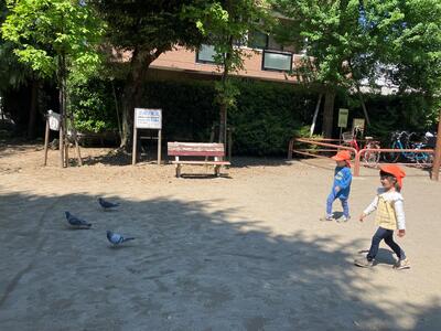 中村橋保育園'25年5月こだま戸外活動 (3).jpg