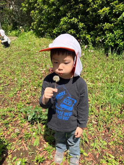 中村橋保育園'25年5月こだま戸外活動 (7).jpg
