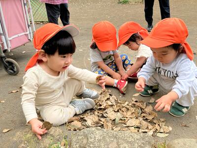 中村橋保育園'25年5月めばえ戸外活動 (5).jpg