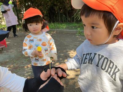 中村橋保育園'25年5月めばえ戸外活動 (8).jpg