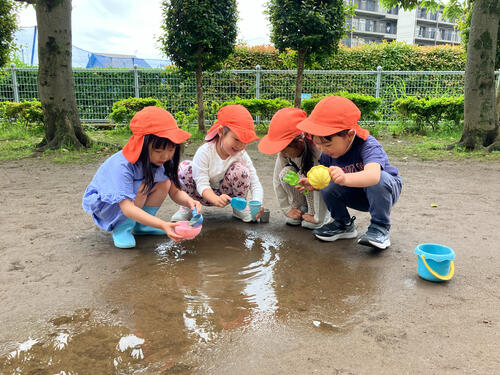 ２５．５ゆめ (1).jpg