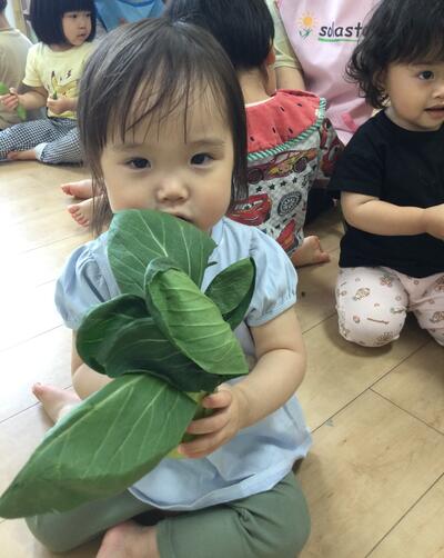 2025 5 22ソラスト高津保育園春野菜⑤.JPG