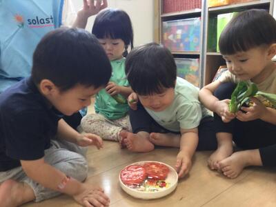 2025 5 22ソラスト高津保育園春野菜⑥.JPG