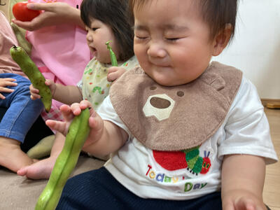 2025 5 22ソラスト高津保育園春野菜⑦.jpg