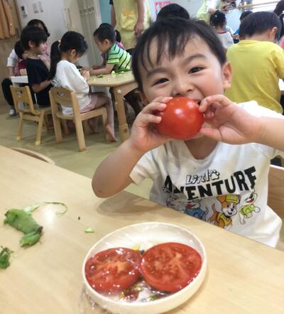 2025 5 22ソラスト高津保育園春野菜⑩.JPG