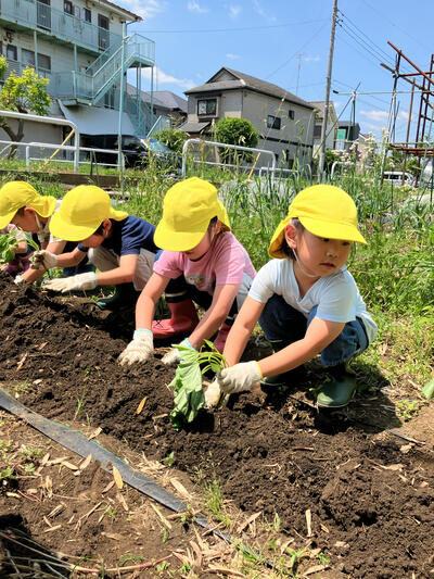 202505府中たいよう8.jpg