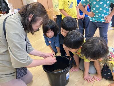 20250508_田植え（おおいまち）05.jpg