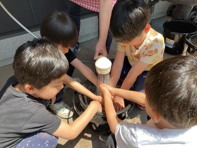 20250508_田植え（おおいまち）06.jpg
