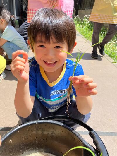 20250508_田植え（おおいまち）09.jpg