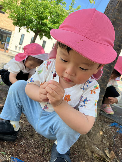 2025_57木の実拾い.jpg