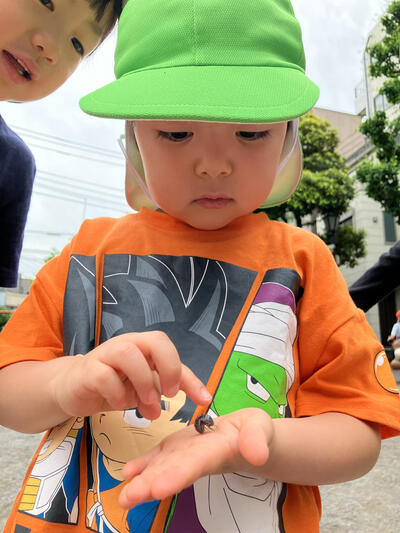 25竜こゆただんごむし (1).jpg