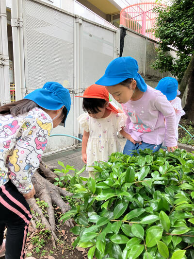 25竜こゆただんごむし (4).jpg