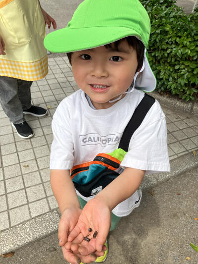 25竜こゆただんごむし (6).jpg