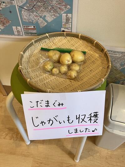 ⑩じゃがいも浦安.jpg