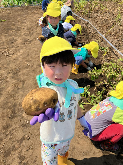 20250618ゆめ組じゃがいも掘り (10).jpg