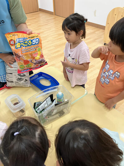 カブトのご飯です.jpg