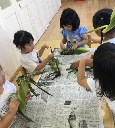 2025 7.10 ソラスト高津保育園とうもろこし⑤.JPG