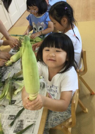 2025 7.10 ソラスト高津保育園とうもろこし⑦.JPG