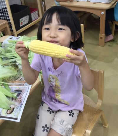 2025 7.10 ソラスト高津保育園とうもろこし⑩.JPG