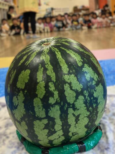 20250711_すいかわり（おおいまち）1.jpg