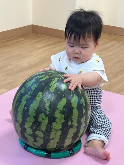 20250711_すいかわり（おおいまち）2.jpg